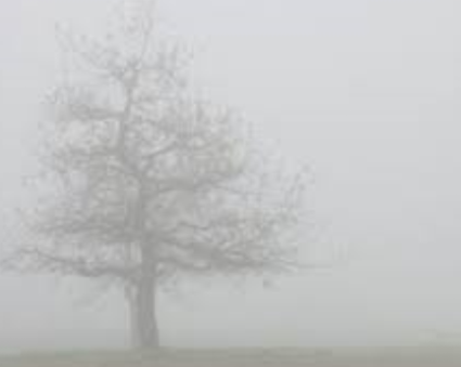 Fog Quick revision Notes | Class 10th Poem FootPrints Without Feet | English | Fog Summary in English & Hindi Language 