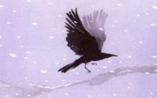 Dust Of Snow Quick revision Notes | Class 10th Poem FootPrints Without Feet | English | Dust Of Snow Summary in English & Hindi Language 