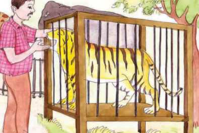  Tiger in the Zoo Summary in Hindi class 10